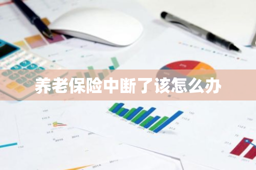 养老保险中断了该怎么办