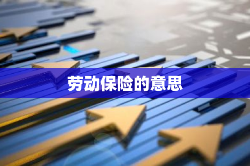 劳动保险的意思