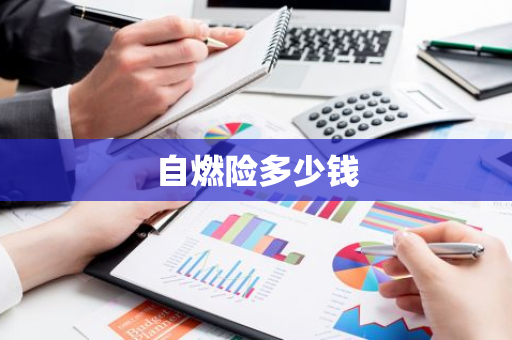 自燃险多少钱