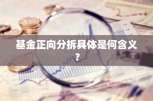 基金正向分拆具体是何含义？
