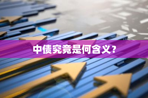 中债究竟是何含义？