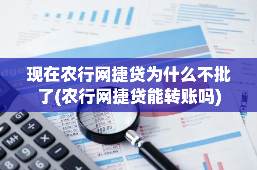 现在农行网捷贷为什么不批了(农行网捷贷能转账吗)