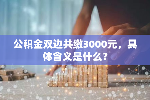 公积金双边共缴3000元，具体含义是什么？