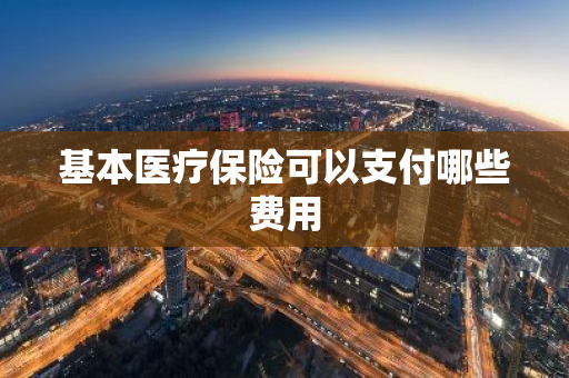 基本医疗保险可以支付哪些费用