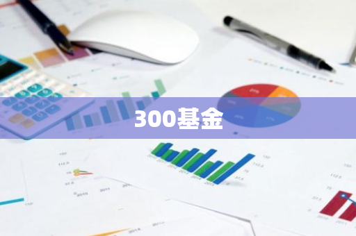 300基金
