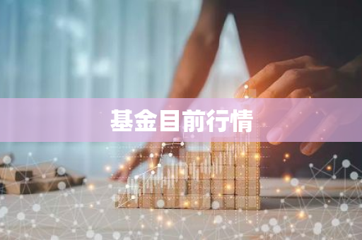 基金目前行情