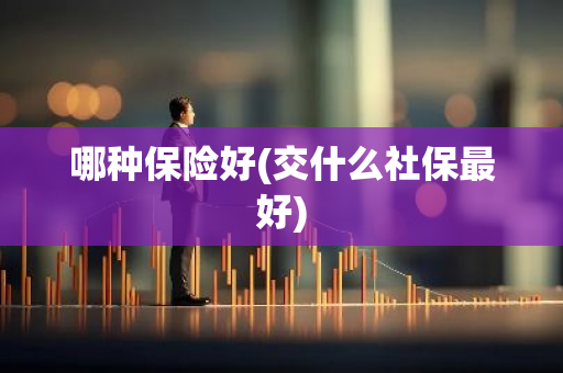 哪种保险好(交什么社保最好)