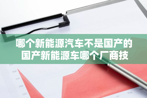 哪个新能源汽车不是国产的 国产新能源车哪个厂商技术好