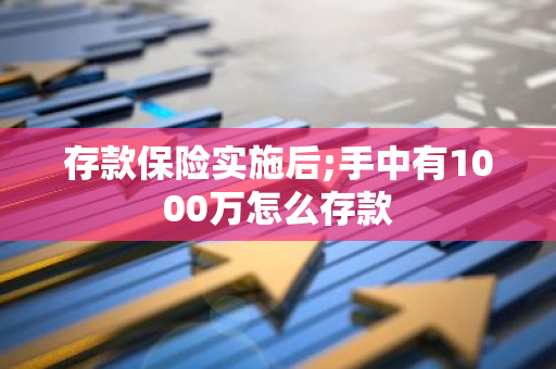 存款保险实施后;手中有1000万怎么存款