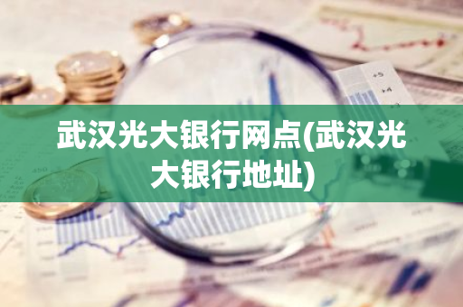 武汉光大银行网点(武汉光大银行地址)