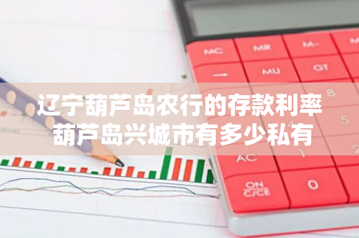 辽宁葫芦岛农行的存款利率 葫芦岛兴城市有多少私有银行