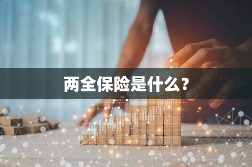 两全保险是什么？