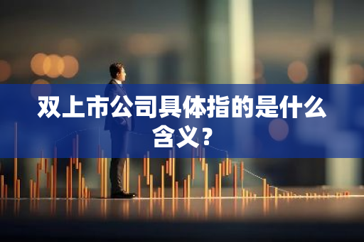 双上市公司具体指的是什么含义？