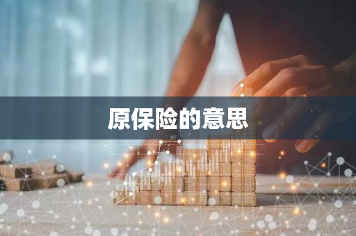 原保险的意思