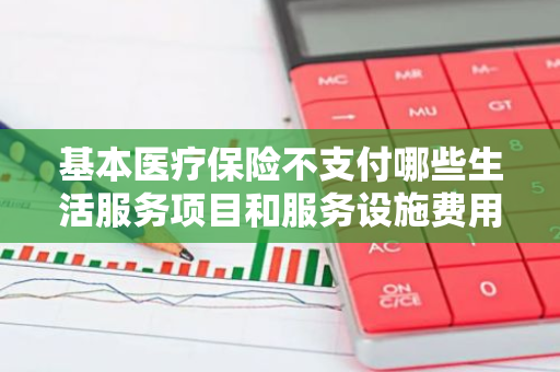 基本医疗保险不支付哪些生活服务项目和服务设施费用
