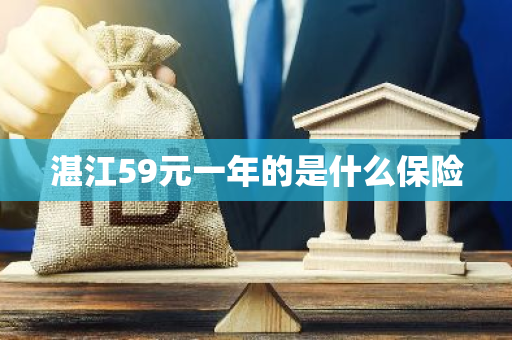 湛江59元一年的是什么保险