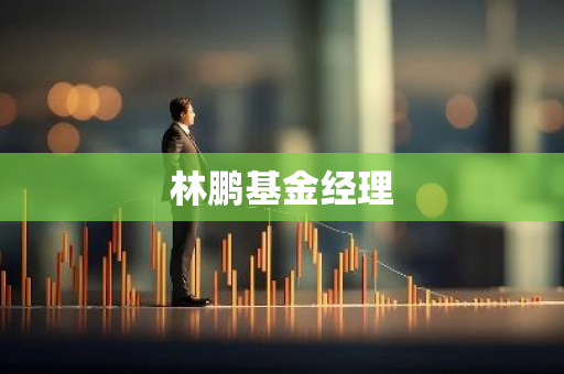 林鹏基金经理