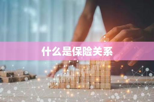 什么是保险关系