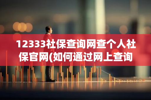 12333社保查询网查个人社保官网(如何通过网上查询办理退休结果)