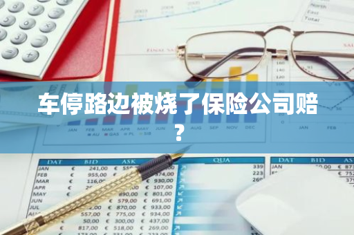 车停路边被烧了保险公司赔？