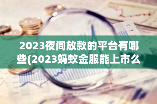 2023夜间放款的平台有哪些(2023蚂蚁金服能上市么)