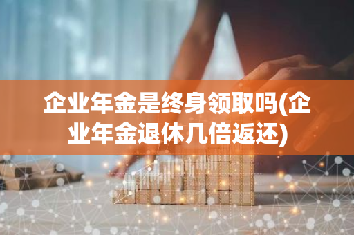企业年金是终身领取吗(企业年金退休几倍返还)