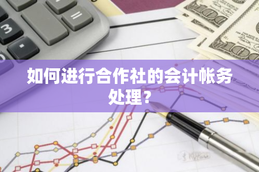 如何进行合作社的会计帐务处理？