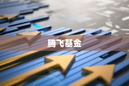 腾飞基金