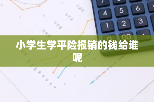 小学生学平险报销的钱给谁呢