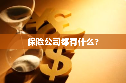 保险公司都有什么？