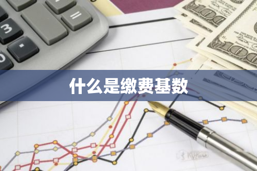 什么是缴费基数