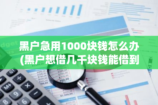 黑户急用1000块钱怎么办(黑户想借几千块钱能借到吗)