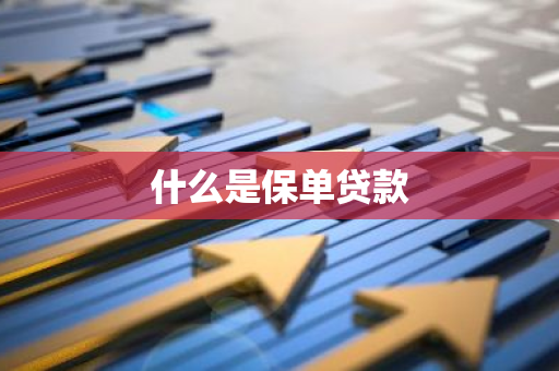什么是保单贷款
