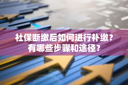 社保断缴后如何进行补缴？有哪些步骤和途径？
