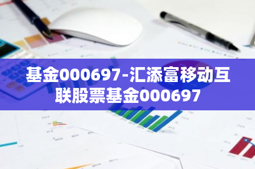 基金000697-汇添富移动互联股票基金000697