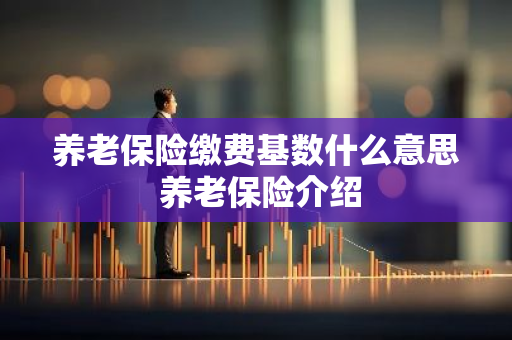 养老保险缴费基数什么意思 养老保险介绍
