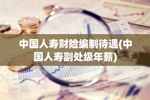 中国人寿财险编制待遇(中国人寿副处级年薪)
