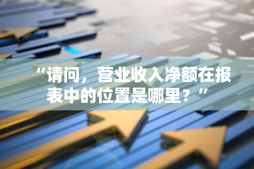“请问，营业收入净额在报表中的位置是哪里？”