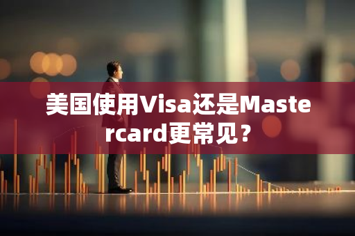 美国使用Visa还是Mastercard更常见？