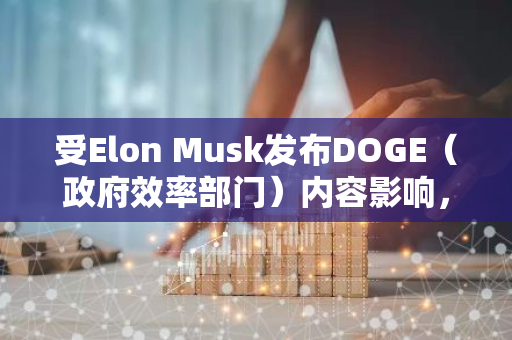受Elon Musk发布DOGE（政府效率部门）内容影响，同名Meme短时上升至250万美元市值