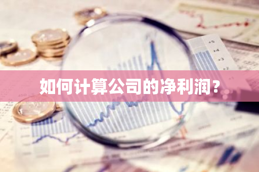 如何计算公司的净利润？