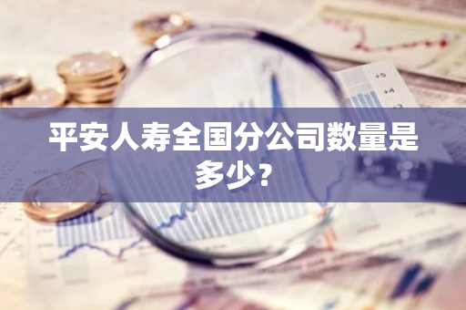 平安人寿全国分公司数量是多少？