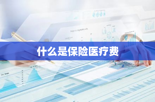 什么是保险医疗费