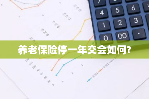 养老保险停一年交会如何?