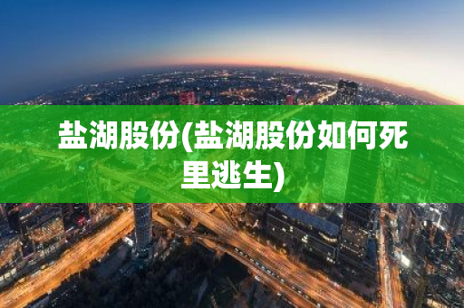 盐湖股份(盐湖股份如何死里逃生)