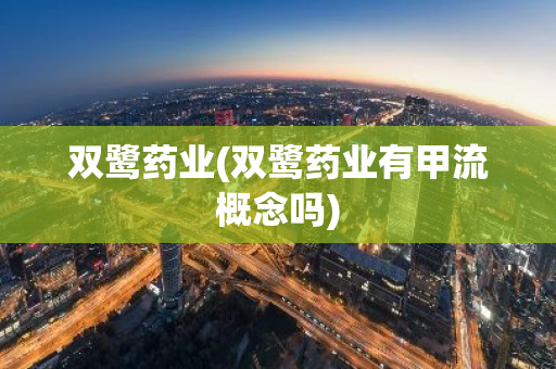 双鹭药业(双鹭药业有甲流概念吗)