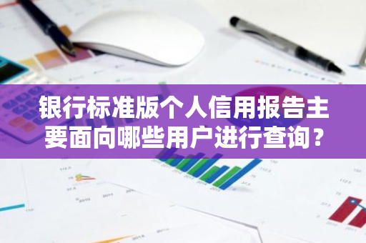 银行标准版个人信用报告主要面向哪些用户进行查询？