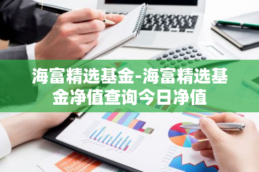 海富精选基金-海富精选基金净值查询今日净值