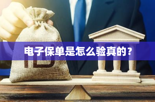 电子保单是怎么验真的？
