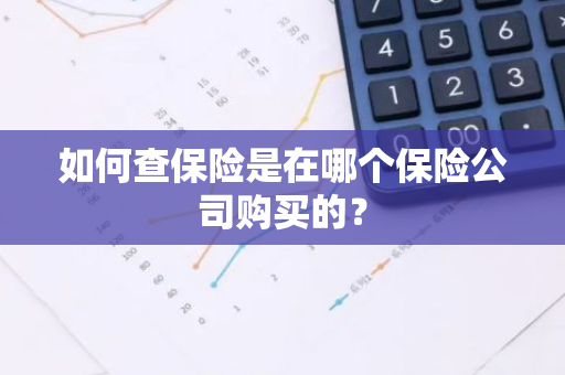 如何查保险是在哪个保险公司购买的？